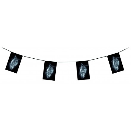 Skull Pirate Bunting 15ft/4,50m flame resistant paper party decoration