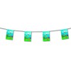 Hawai bunting