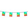 Hawai bunting