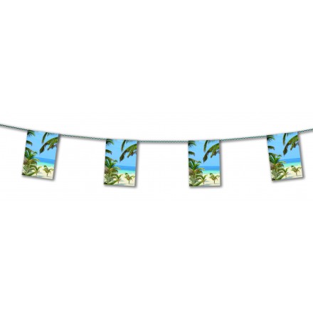 Hawai bunting