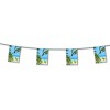 Hawai bunting