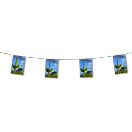 tex mex bunting 4,50m Mexican flag banner and garland