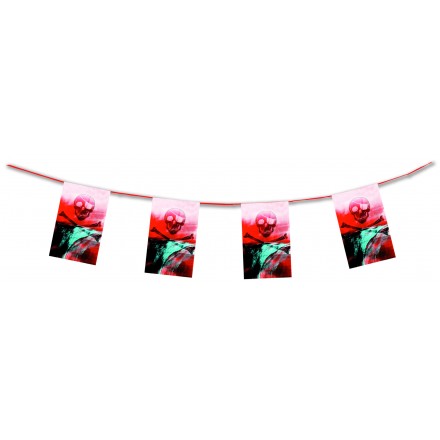 pirate bunting 4,50m skull flame resistant paper banner flags party decoration