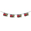 Cubean bunting