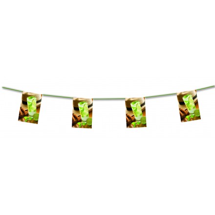 Cubean bunting