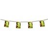 Cubean bunting