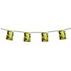 Cubean bunting