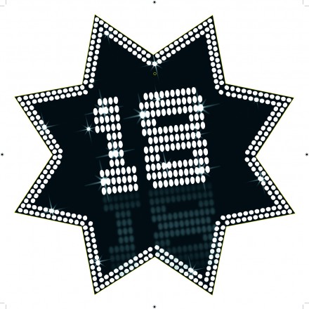 star cutout 18 VIP 34cm cheap 18th birthday decoration black and white