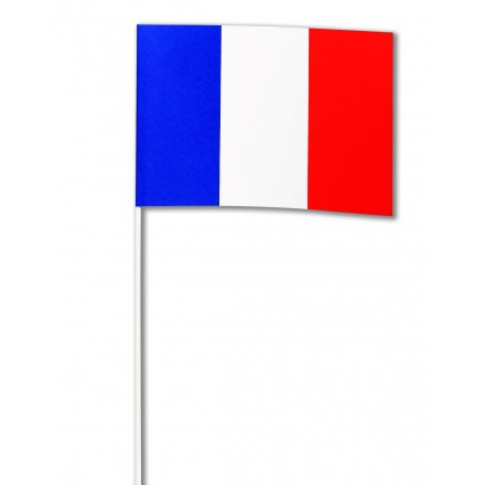 France hand flag 14x21cm (pack of 100) French hand held party supplies