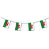 Wales plastic flag bunting