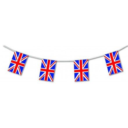 10m Baby Blue 20 FLAGS COLOUR BUNTING FLAGS PENNANTS PARTY DECORATIONS PARTIES FLAG 