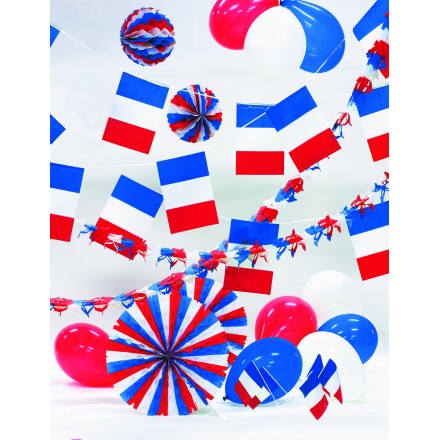 France kit French decorating pack 14th July party supplies