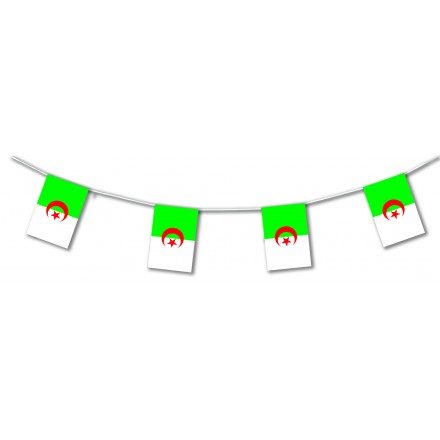 Algeria plastic flag bunting