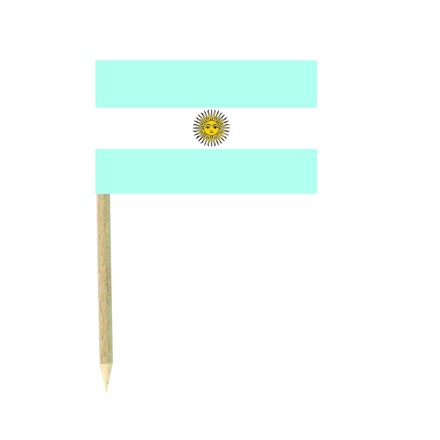 Argentina flag picks - pack of 50 food wood sticks party decoration