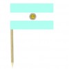 Argentina flag picks - pack of 50