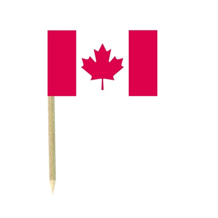 Canada flag picks - pack of 50 food wood sticks party decoration