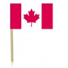 Canada flag picks - pack of 50