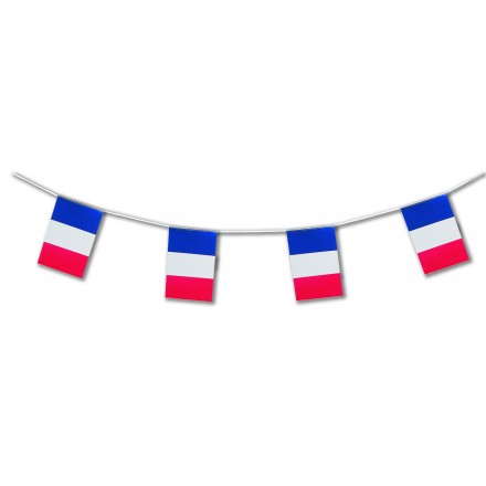 France plastic bunting