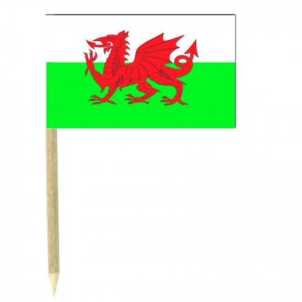 Welsh cocktail picks - pack of 50 dragon food wood sticks party decoration