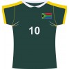 South Africa rugby jersey cutout (Fabric)