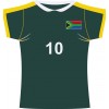 South Africa rugby jersey cutout (Fabric)
