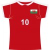 Wales rugby jersey cutout (Fabric)