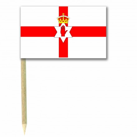 Northern Irish cocktail flag picks pack of 50 food wood sticks party supplies