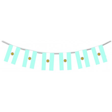 Argentina Flag Bunting