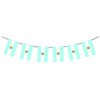 Argentina Flag Bunting