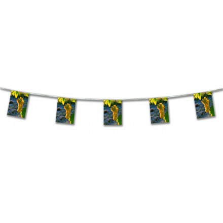 grape bunting