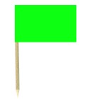 Green Paper Cocktail Flag Sticks - Pack of 50 Food Wood Picks