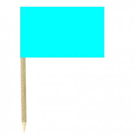 Turquoise Blue Cocktail Flag Sticks - Pack of 50 Cobalt Blue Food Wood Picks